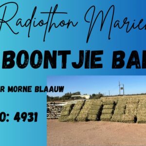 #4931 Boontjie bale