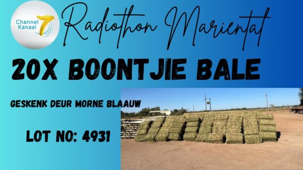 #4931 Boontjie bale