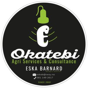 #1107 - Dragtigheidskandering
