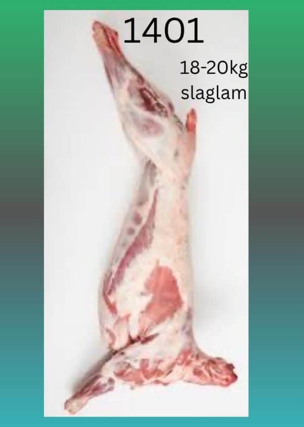 # 1401  18-20kg slaglam