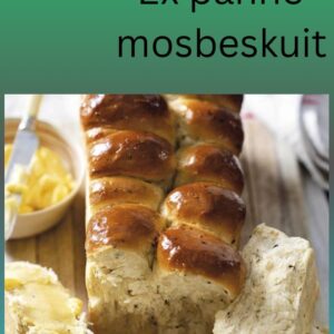 #1432  2 grt panne mosbeskuit
