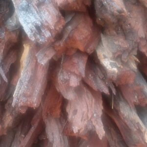 #9815 - Kameeldoring Hout
