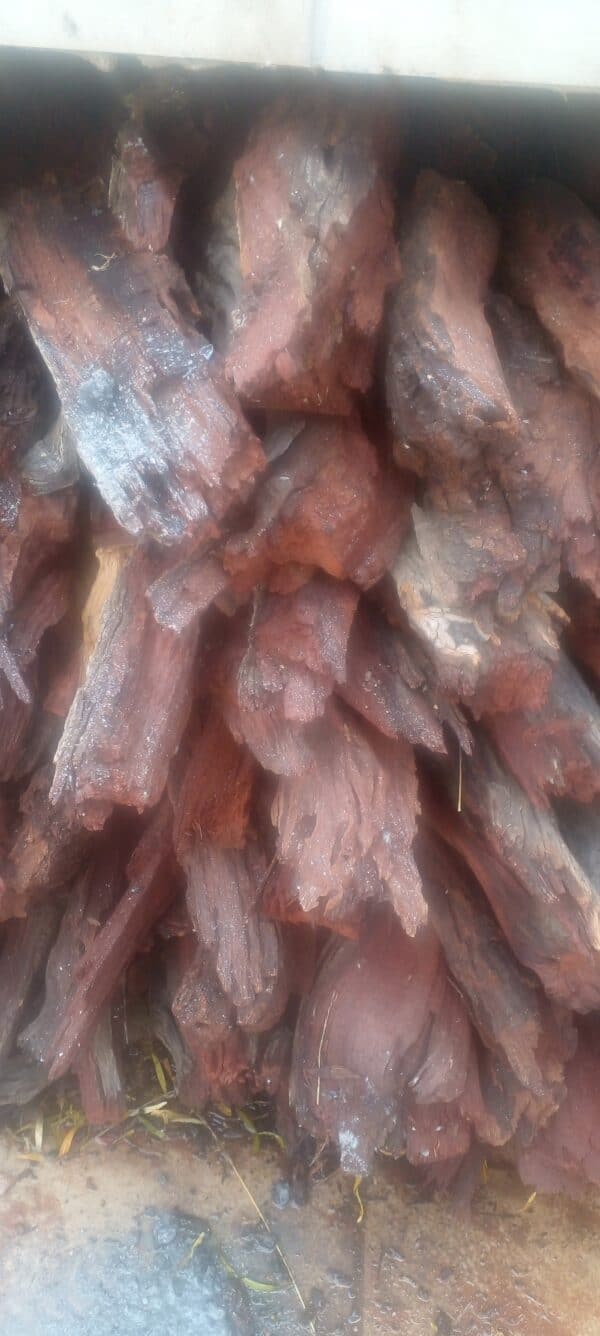 #9815 - Kameeldoring Hout
