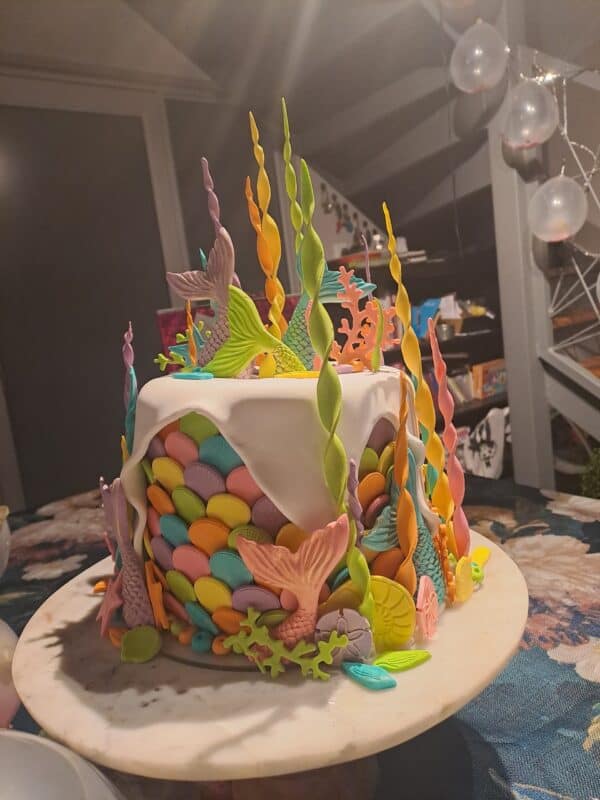 #2605 1 Verjaarsdag koek - Image 5