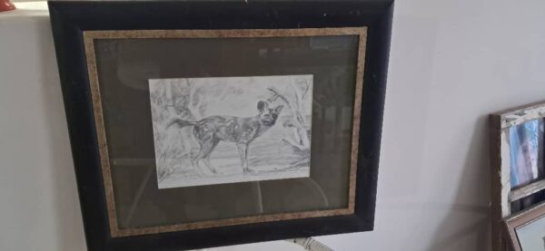 #2631 Wilde hond skildery