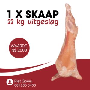 #2655 Slagskaap 22kg