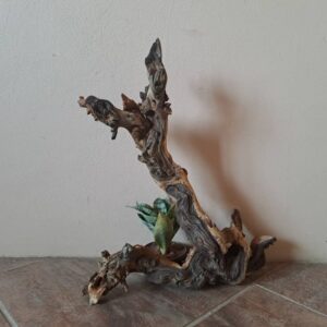 #2666 Stomp met 1 potplant