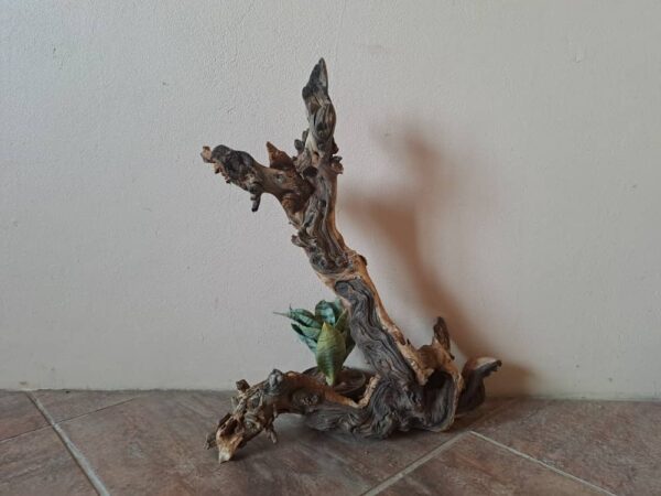 #2666 Stomp met 1 potplant