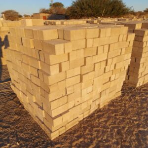 #2689: 1000 Superbricks