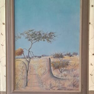 #3205 Skildery (Namibiese natuur toneel