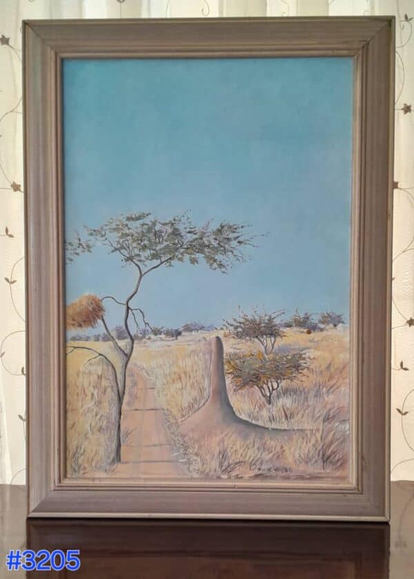 #3205 Skildery (Namibiese natuur toneel