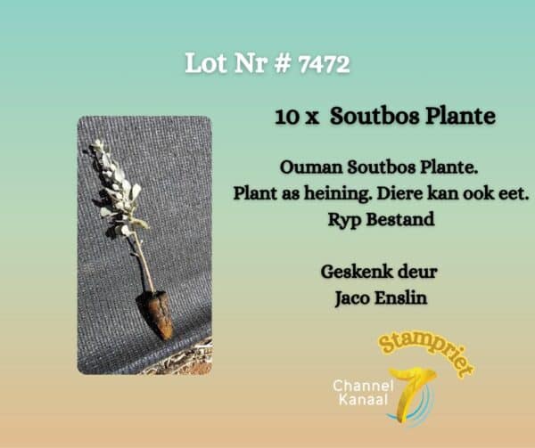 #7471 Soutbos