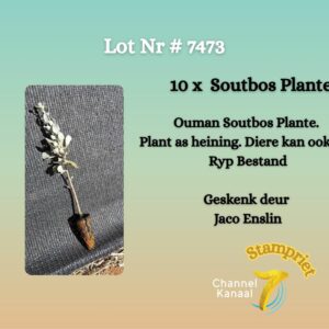 #7472 Soutbos