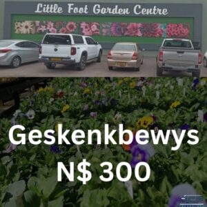 #7770 Plante Little Foot Nursery