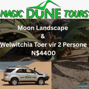 #7811 Vermaak/Geskenkbewyse Magic Dune Tours