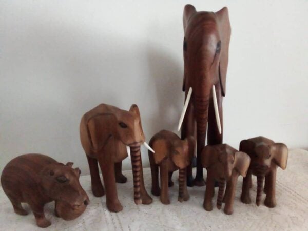 #8905 Olifant familie & seekoei
