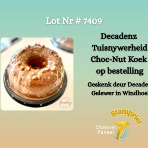#7409 Choc-nut koek