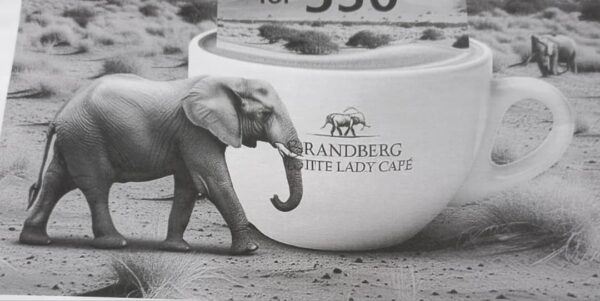#2362 Brandberg White Lady Cafe