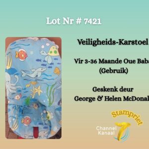 #7421 Veiligheids-karstoel