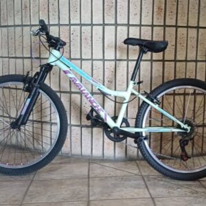 #0762 Avalanche Berg Fiets