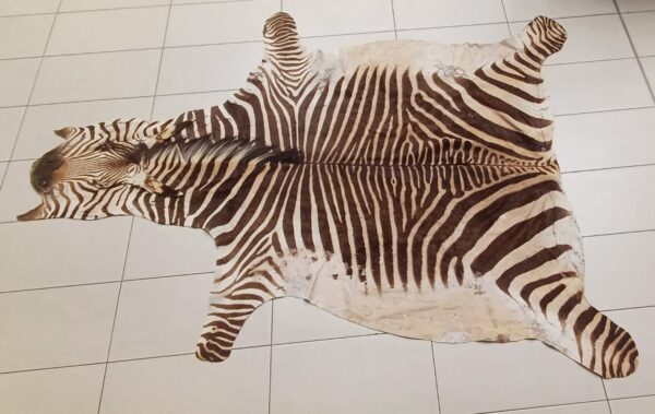 #0855 Zebra Vel