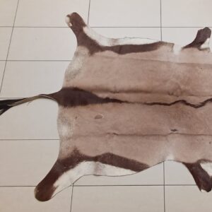 #0857 Gemsbok Vel