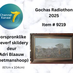 # 9219 - Geraamde oorspronklike olieverf skildery deur Adri Blaauw