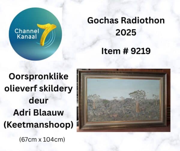 # 9219 - Geraamde oorspronklike olieverf skildery deur Adri Blaauw