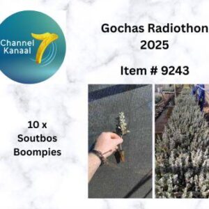 # 9243 - 10 x Soutbos boompies