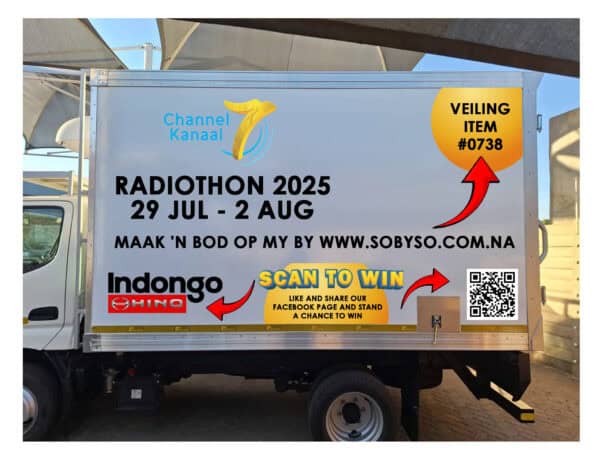 #0738 New Hino 200 310(FH2) Light duty Truck with insolated freezer