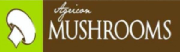 #8619 Mushroom Hamper 1