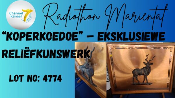#4774 Besonderse Koper Koedoe Kunswerk