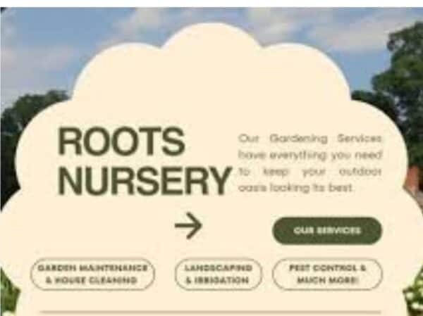 #2318 Roots Kwekery