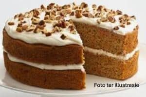 #0614 WortelKoek