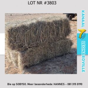 #3803 25X GROENGEBAALDE SUURGRAS BALE