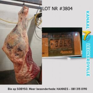 #3804 86.5KG AGTERKWART VAN N SLAGKOEI