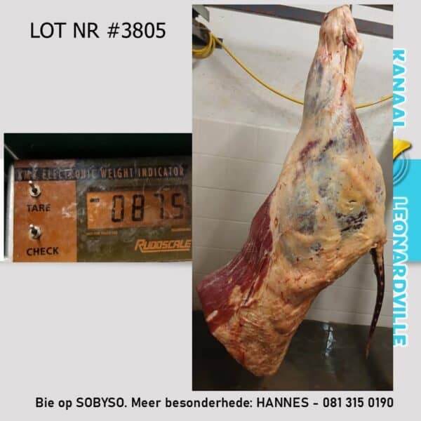 #3805 87.5KG AGTERKWART VAN N SLAGKOEI
