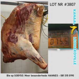 #3807 75.5KG VOORKWART VAN N SLAGKOEI