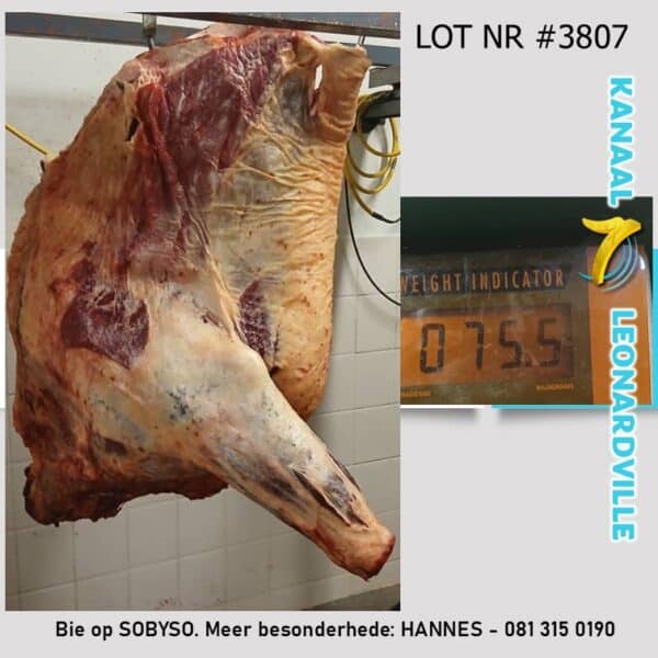 #3807 75.5KG VOORKWART VAN N SLAGKOEI