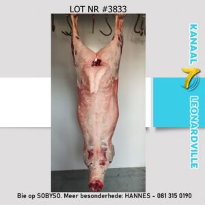 #3833 20KG SKAAP KARKAS