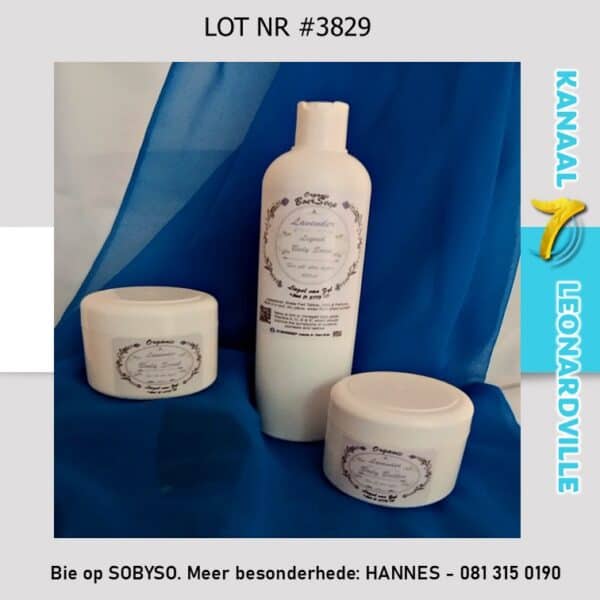 #3829 BOERSEEP LYFSORG - LAVENTELGEUR