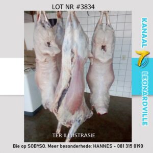 #3834 +-17KG SKAAP LAM KARKAS