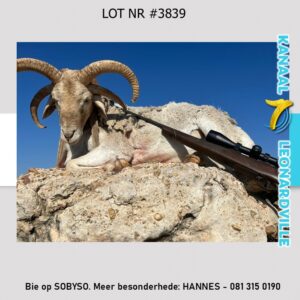 #3839 SKAAPJAG- JA JY HET REG GELEES JAG