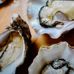 #4108 Oesters