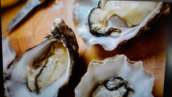 #4108 Oesters