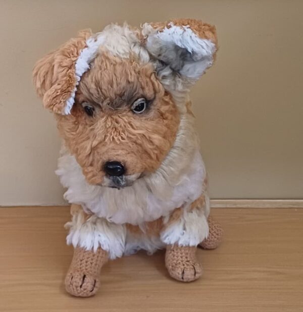 #0721 Hardus die Gebreide Hond
