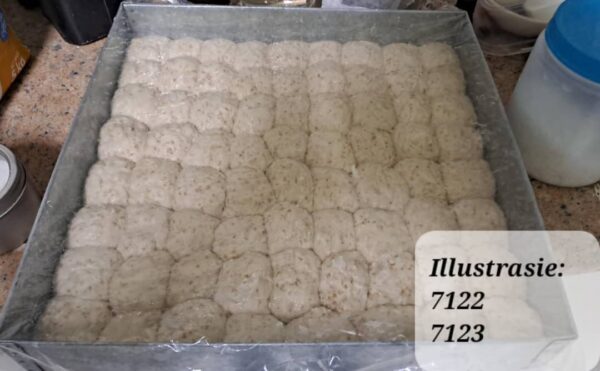 #7123 Baksel Sourdough uitgedroogde Boerbeskuit-wit
