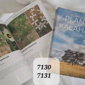 #7130 Plants of the Southern Kalahari