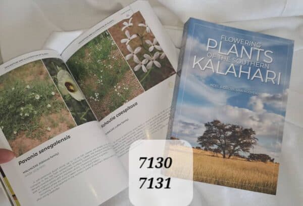 #7130 Plants of the Southern Kalahari