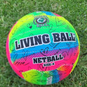 #2947 Netbal bal